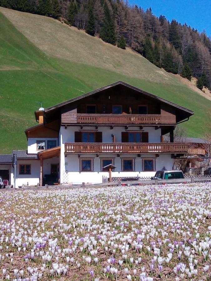 Pension & Appartament Anna Predoi Exterior photo