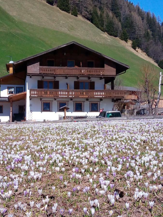 Pension & Appartament Anna Predoi Exterior photo
